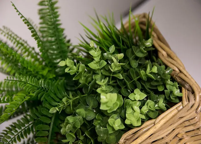 Nav * ドゥブロブニク